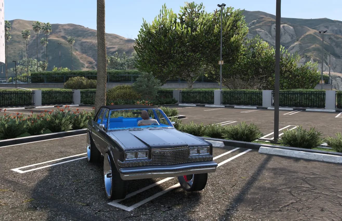 Dodge Diplomat on 30s Donk
